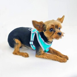 My Canine Kids Precision Fit Nylon Step-in Adjustable Dog Harness in Teacup to 40 LBS Vest Easy On Adjustable XXXSmall Toy Puppies to Large Soft Walking Doggy Wrap Vest (1101) (XXSmall - Turq)