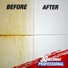 30 SECONDS Pro Mold and Mildew Stain Remover | Scrub