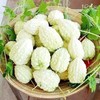 2 Bags Apple Bitter Melon Seeds; 百勝白玉苦瓜 F1 Bitter Melon