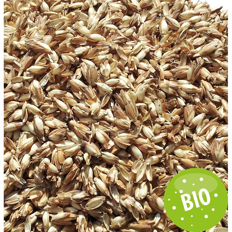 GIRAFFENLAND Organic Spelt Husk Cushion 20 x 40 cm with