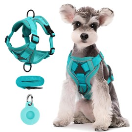 SAN KARA Arnés para Perros y Gatos con Correa 1.5M  Arnés Reflectante Transpirable con Soporte para AirTag (no Incluido), Pecheras Ajustable y Cómodo 