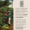 illy Arabica Selections Brasile - Cerrado Mineiro Whole Bean Coffee,