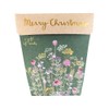 SOW 'N SOW Gift of Seeds - different styles, Poppy