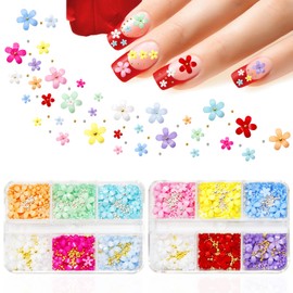 findTop 2 cajas de accesorios de arte de uñas de flores 3D, 12 rejillas de acrílico 3D, suministros de arte de uñas con perlas para decoración de uñas (11 colores)