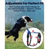 LufeLux No Pull Dog Harness Two Point Control Leash Set,