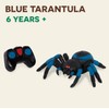 Terra by Battat – Remote Control Tarantula for Kids with
