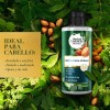 Crema para Peinar Herbal Essences Bio:Renew Aceite de Argán de