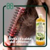 Shampoo Baño Botánico Anticaída 1 Lt