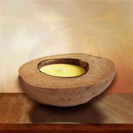 CK Home Scented Citronella Candle in Organic Coconut Husk, Soy Wax with Cotton Wick for Clean Burn, Perfect Home Décor or Gift.