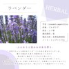 e-aroma Genuine Lavender 10ml Essential Oil Essential Oil Aroma Oil