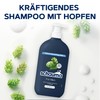Schauma Shampoo for Men (750 ml (Pack of 1)