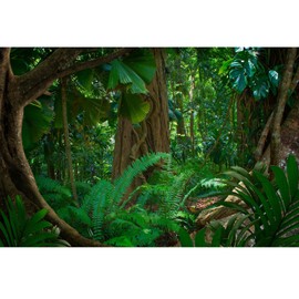 Riivvdise Forest Terrarium Background Tropical Rainforest Aquarium Background Huge Tree Rainforest Reptile Habitat Background Green Leaves Plants Aquarium Background Backdrop Durable Vinyl 48x24in