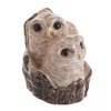John Beswick JBB39 Owl Chicks Figurine