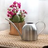500ml Stainless Steel Indoor Outdoor Watering Can Garden Plant Flower