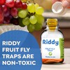 Riddy Fruit Fly Traps – Non-Toxic, Ready-to-Use, Long-Lasting Solution for