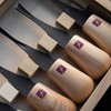 Flexcut Wood Carving Tools Beginners Palm Set of 5, FR310