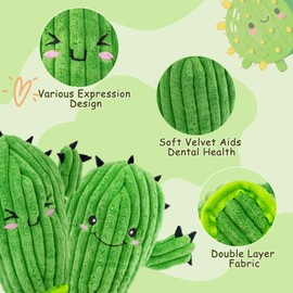 MAOOOOB No Stuffing 3 Pack Squeaky Dog Toys- 2 in 1 Interactive Plush Dog Toy- Cactus Shaped Rip and Reveal Toy for Puppies- Perfect for Indoor & Outdoor Play- Training & Toss & Play