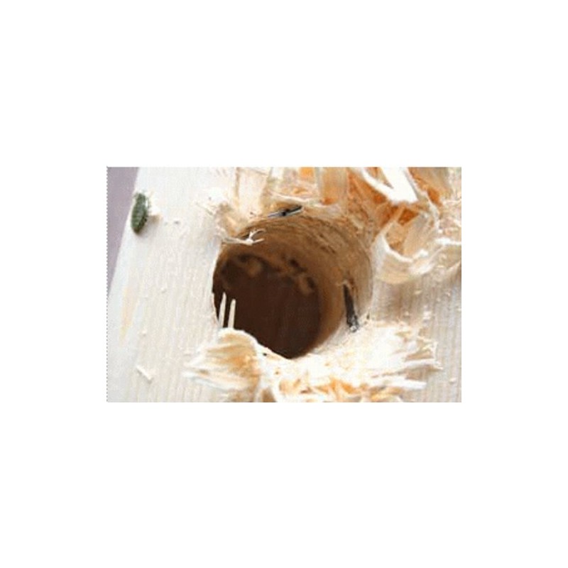 Star-M Nail Cutting Drill, Short Type, 0.5 inches (12.0 mm)