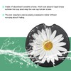 FSTURIOS 2 PCS Car Cupholder Coaster, Absorbent Ceramic Coaster Daisy