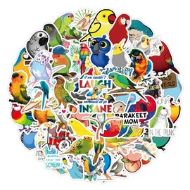 Bric Dodo Pack of 50 No Stickers Car Laptop Phone Guitar Skateboard Motorcycle Bicycle Parrot Stickers Set Vinyl Waterproof Aesthetic Stickers for Teenagers Children Adults