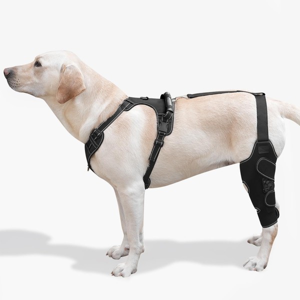 FurWell Dog Knee Brace with Adjustable Support – ACL &