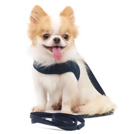LOPHIPETS Lightweight Dog Harness with Leash Set for Medium Dogs -Blue/L