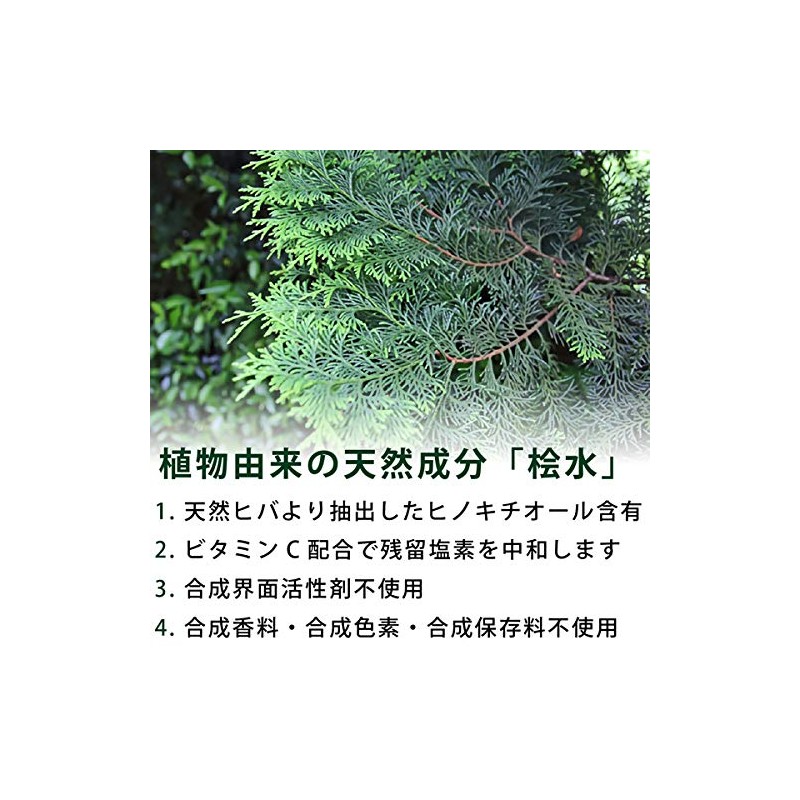 Cypress Water, 16.9 fl oz (500 ml), Green Notebook, Natural,