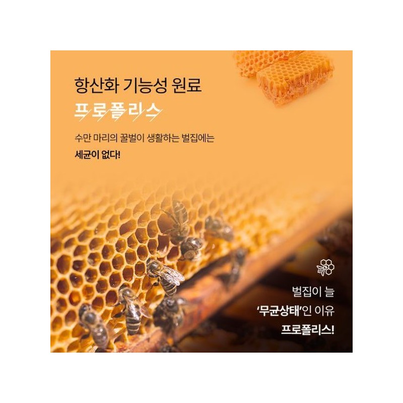 Saltis (솔티스)프로폴리스 프로 5박스 (Soltys) Propolis Pro 5 Boxes