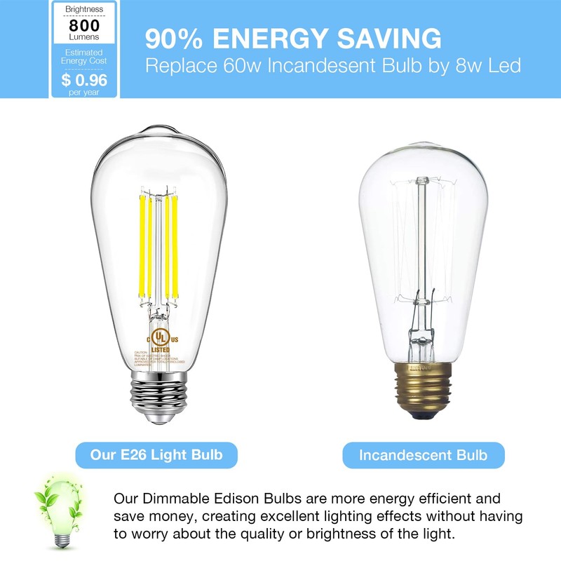 DAYBETTER 12 Pack Vintage LED Edison Bulbs, E26 Led Bulb