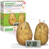 4M Green Science Potato Clock, Science and Activity Kit, Suitable