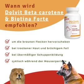 DOLFOS PETS - Beta-Carotin und Biotin Forte 90 Tabletten - Ergänzungsmittel für gesundes Fell und Haut bei Hunden - Geeignet für alle Rassen und Altersgruppen - Rezept aus Natürlichen Zutaten