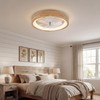 Ceiling Fans with Lights, 20'' Ceiling Fans with Lights and