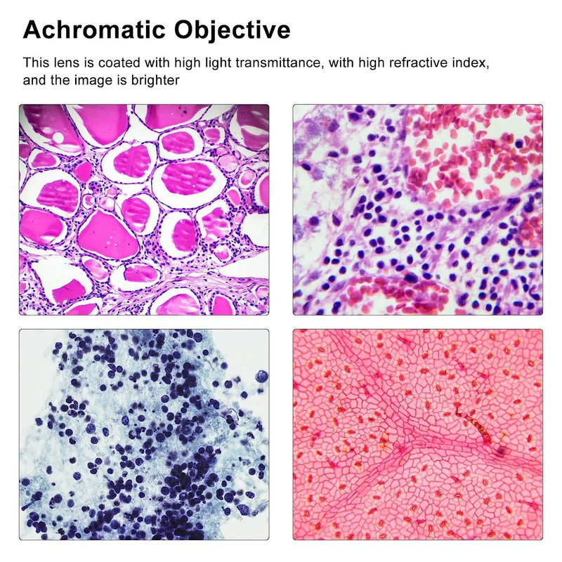 40X Achromatic Objective RMS Size Brass Stainless Steel Auto Rebound