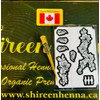 Shireen Henna DIY Body Art Henna Stencil Kit, Temporary Tattoo