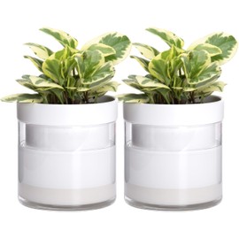 Phoenix Vine 6 Inch Self Watering Planter, White Terracotta Clay Pot with Glass Reservoir for Indoor Plants, Herbs, Flowers, Set of 2, 52-B-F-2