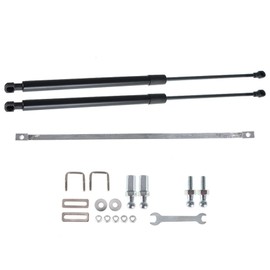 WFLNHB Rear Trunk Hydraulic Rod Strut Spring Gas Shock Replacement for Accord 10th Gen 2018 2019