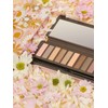 Paleta de sombras 12 tonos Nude