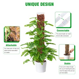 Bonviee 4-Pack 15-Inch Plastic Moss Poles for Monstera & Climbing Plants - Stackable to 60 Inches, Includes Sphagnum Moss & Garden Ties for Indoor Plant Support