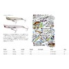 TackleHouse, Shores Rising Minnow, 1.7 inches (43 mm), 0.1 oz