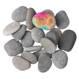 DOITOOL DIY Painting Stones Set 20pcs Natural Pebbles Rocks for Boys and Girls Art Projects