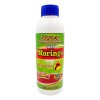 Suplemento Alimenticio Jarabe Mry Moringa Sabor Sin Sabor