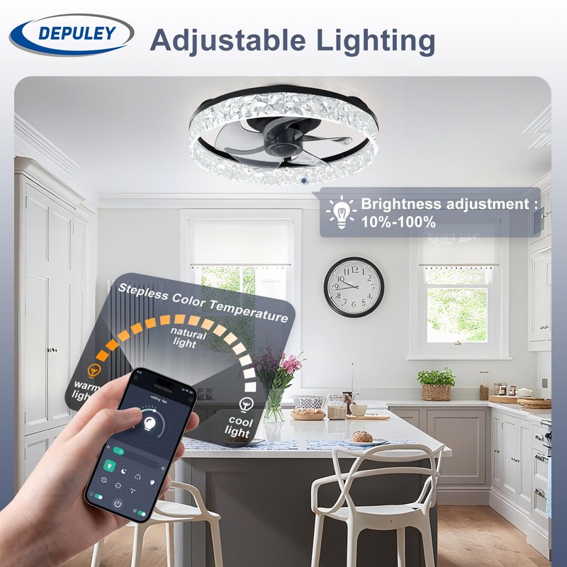 Depuley Ceiling Fans with Lights and Remote: 16" Modern Low