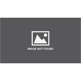 Professor Murphy's Quiz Cards - True or False?: 600 Questions for Big & Little Brainiacs