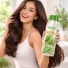 Shampoo Savilé Romero Y Sábila Control Caída Y Crecimieto
