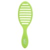 Wet Brush Speed Dry, Lime-A-Rita (Summer Quencher) - Vented Design