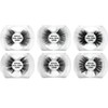 BlackPink 100% Real Mink Fluffy Lash 5D Reusable Light Weight