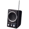 ELPA ER-SP39F AM/FM Speaker Radio, Connected to a TV and