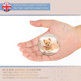 Destination Vinyl ltd Magnet for Refrigerator, Fridge - Cute Pomeranian Dog Puppy for Office, Cabinet and Whiteboard, Magnetic Stickers, 21423