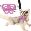 3 Pack Sugar Glider Harness and Leash Set Small Animal