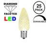 Novelty Lights 25 Foot C7 LED Outdoor Lighting Patio Christmas